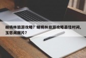 胡杨林旅游攻略？胡杨林旅游攻略最佳时间,玉慈阁图片？